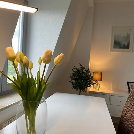 Apartmenthaus Weimarblick - Gratis Stellplaetze - Wlan - Smarttv - Zentral In Веймар