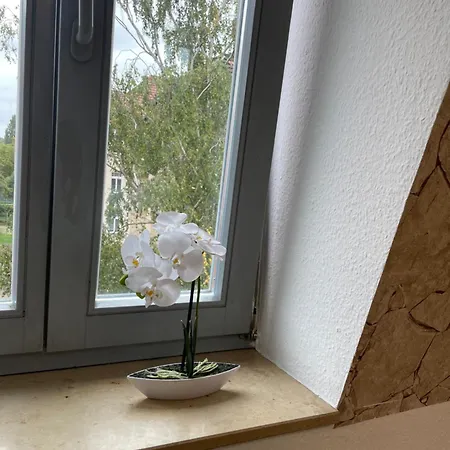 Apartmenthaus Weimarblick - Gratis Stellplaetze - Wlan - Smarttv - Zentral In Апартаменты Веймар