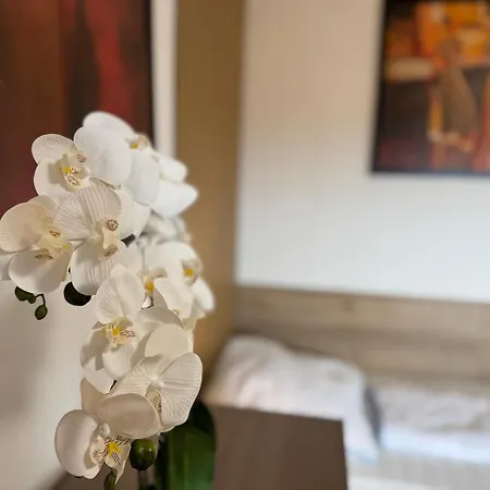 Apartmenthaus Weimarblick - Gratis Stellplaetze - Wlan - Smarttv - Zentral In Weimar (Thuringia)