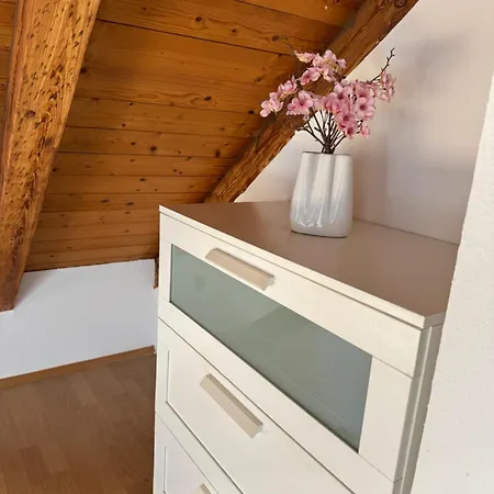 Apartmenthaus Weimarblick - Gratis Stellplaetze - Wlan - Smarttv - Zentral In Апартаменты Веймар