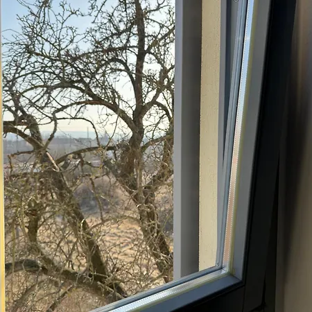 Apartmenthaus Weimarblick - Gratis Stellplätze - Wlan - Smarttv - Zentral In Apartment *