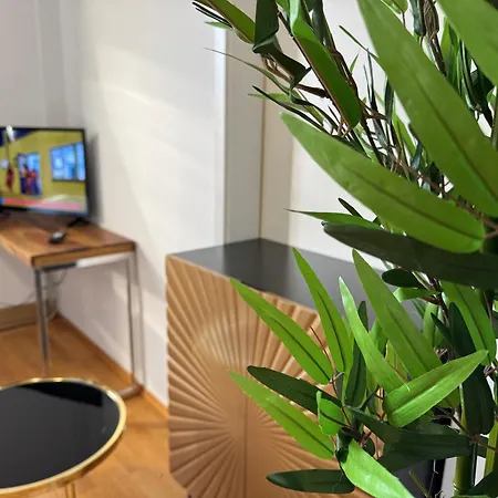 Apartmenthaus Weimarblick - Gratis Stellplaetze - Wlan - Smarttv - Zentral In Апартаменты