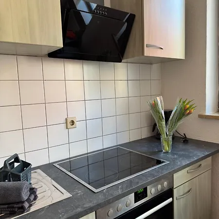 Apartmenthaus Weimarblick - Gratis Stellplaetze - Wlan - Smarttv - Zentral In Апартаменты