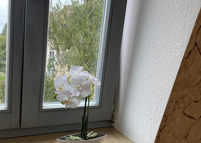 Apartmenthaus Weimarblick - Gratis Stellplaetze - Wlan - Smarttv - Zentral In דירה וויימר