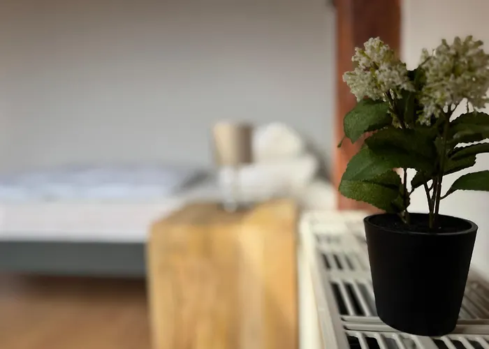 Apartmenthaus Weimarblick - Gratis Stellplaetze - Wlan - Smarttv - Zentral In * וויימר