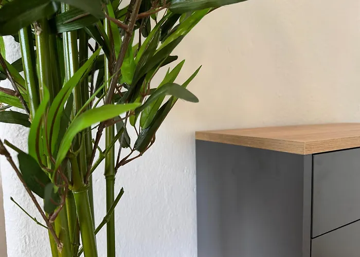 Apartmenthaus Weimarblick - Gratis Stellplaetze - Wlan - Smarttv - Zentral In