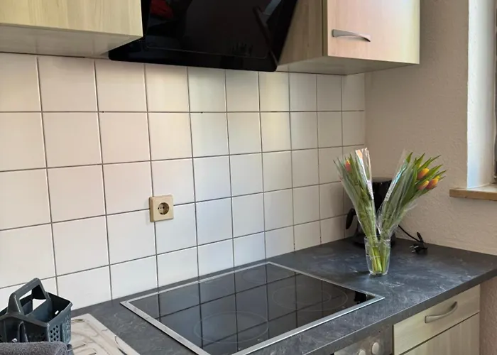 Apartmenthaus Weimarblick - Gratis Stellplaetze - Wlan - Smarttv - Zentral In דירה
