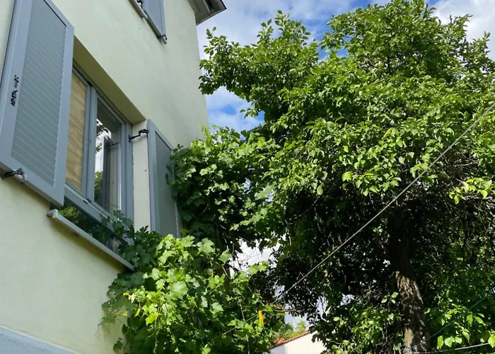 דירה Apartmenthaus Weimarblick - Gratis Stellplaetze - Wlan - Smarttv - Zentral In *